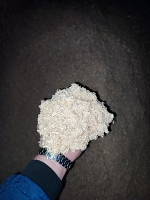 Опилки в мешке 60 л.